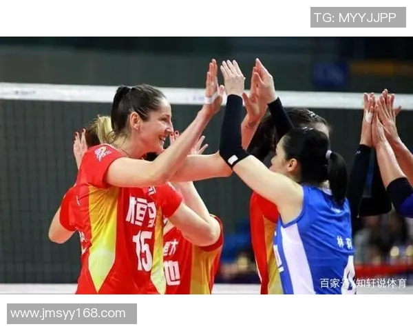 上海排球队与南京排球队的较量分析与战术总结