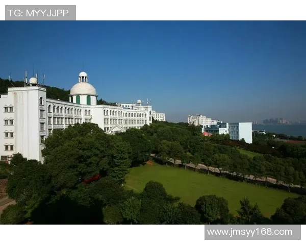 南京排球队在联合会杯中的辉煌突破与奋斗历程全景回顾